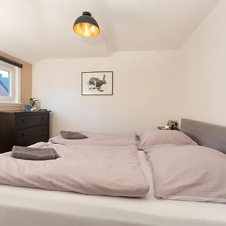 Hahne Apartment *
