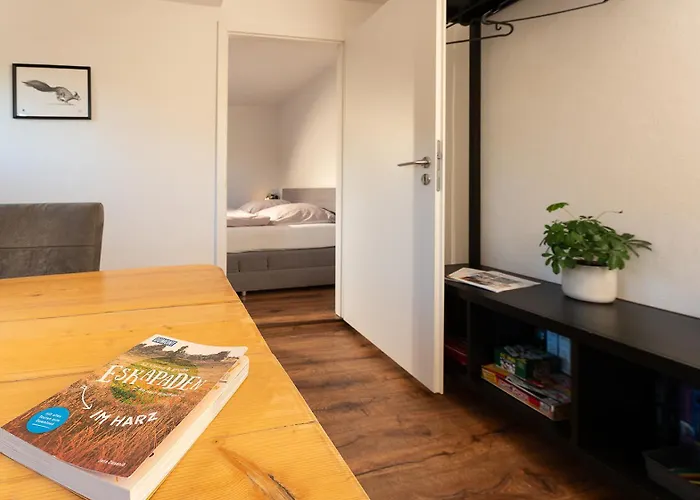 Hahne 公寓 戈斯拉尔